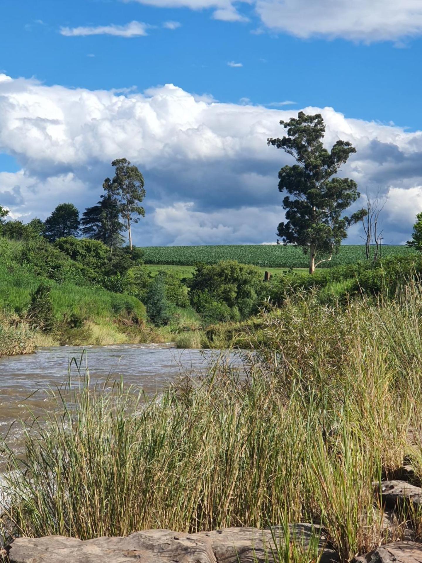 The Nest Drakensberg Mountain Resort Hotel Champagne Valley Экстерьер фото