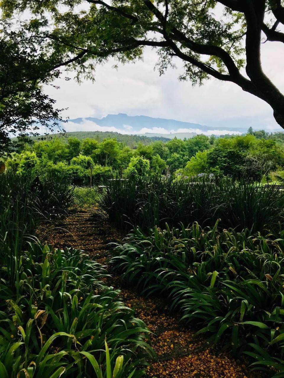 The Nest Drakensberg Mountain Resort Hotel Champagne Valley Экстерьер фото