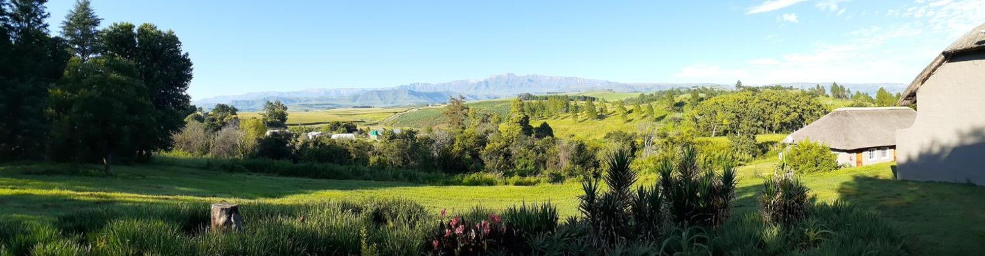 The Nest Drakensberg Mountain Resort Hotel Champagne Valley Экстерьер фото