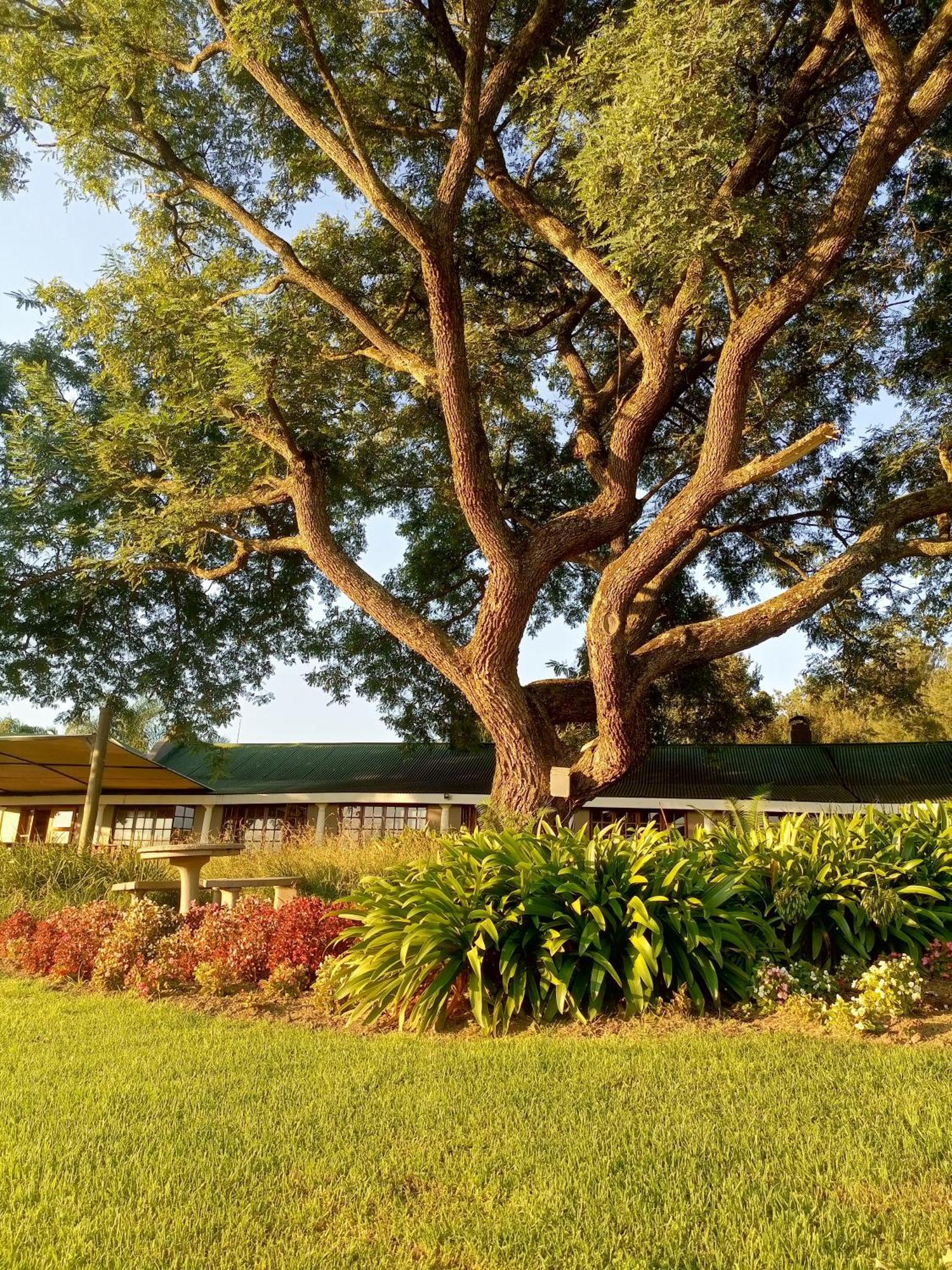 The Nest Drakensberg Mountain Resort Hotel Champagne Valley Экстерьер фото