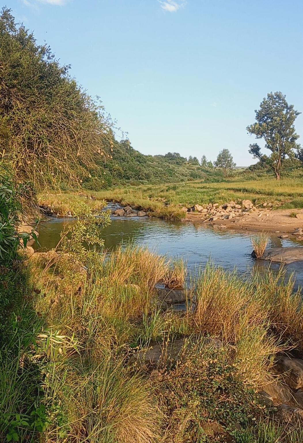 The Nest Drakensberg Mountain Resort Hotel Champagne Valley Экстерьер фото