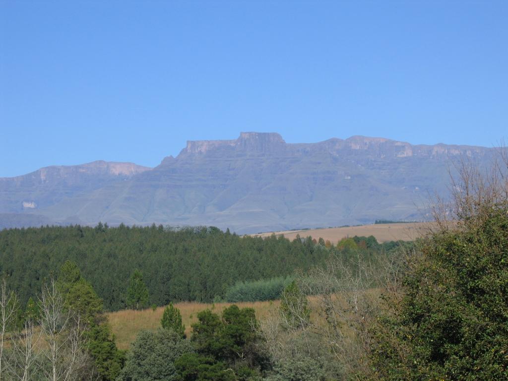 The Nest Drakensberg Mountain Resort Hotel Champagne Valley Экстерьер фото