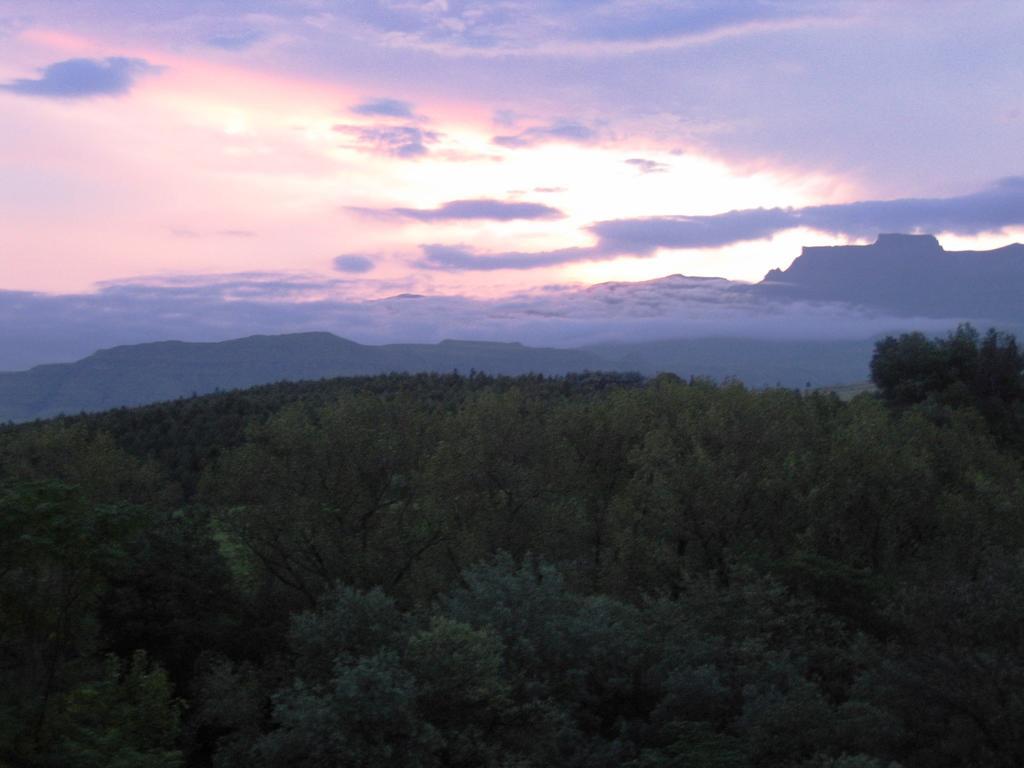 The Nest Drakensberg Mountain Resort Hotel Champagne Valley Экстерьер фото